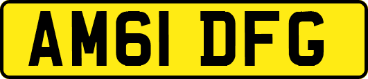 AM61DFG