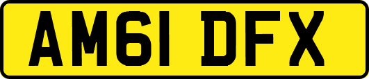 AM61DFX