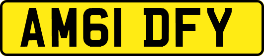 AM61DFY