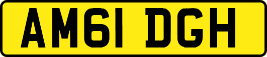 AM61DGH