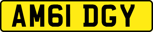 AM61DGY