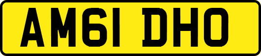 AM61DHO