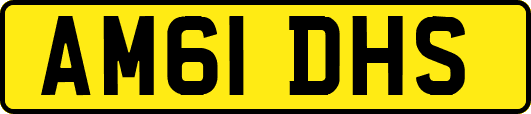 AM61DHS