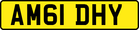 AM61DHY