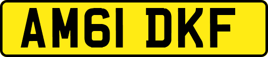 AM61DKF