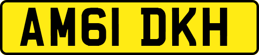AM61DKH