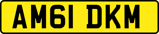 AM61DKM