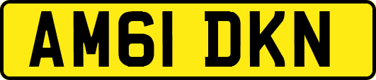 AM61DKN
