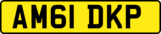 AM61DKP