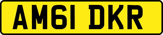 AM61DKR