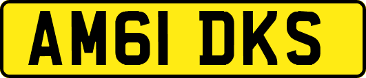 AM61DKS