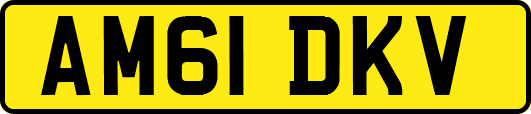 AM61DKV