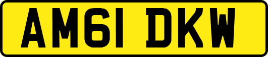 AM61DKW