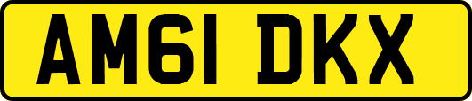 AM61DKX