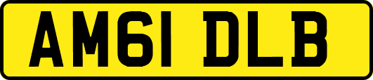 AM61DLB