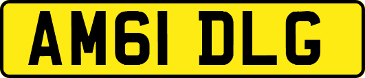 AM61DLG