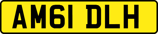 AM61DLH