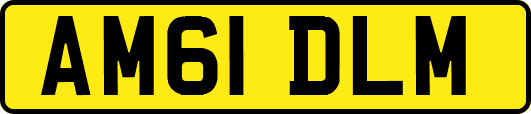 AM61DLM