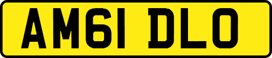 AM61DLO