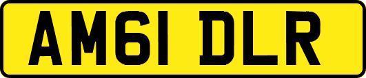 AM61DLR
