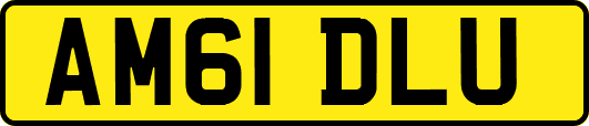 AM61DLU