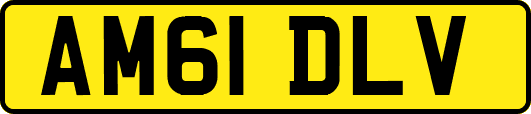 AM61DLV