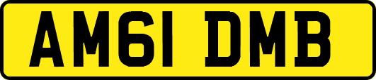AM61DMB