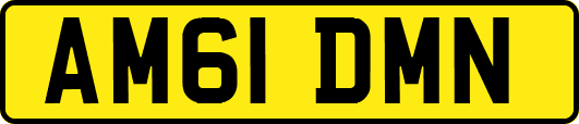 AM61DMN