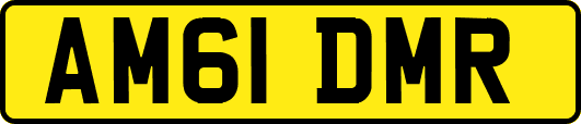 AM61DMR