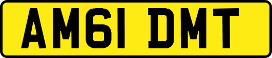 AM61DMT