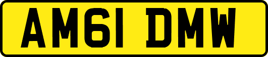AM61DMW