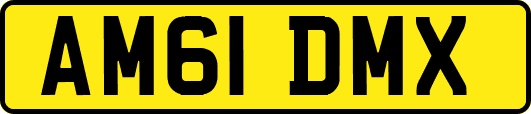 AM61DMX