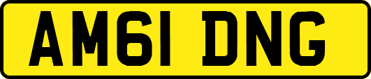 AM61DNG