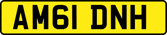 AM61DNH