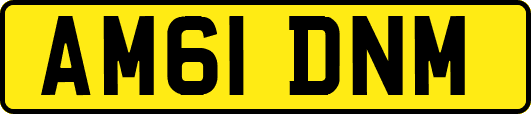 AM61DNM