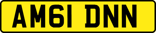 AM61DNN
