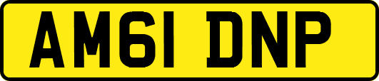 AM61DNP