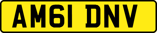 AM61DNV