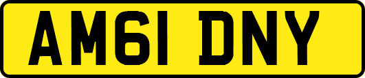AM61DNY