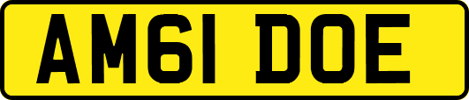 AM61DOE