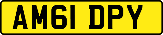 AM61DPY