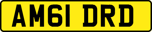 AM61DRD