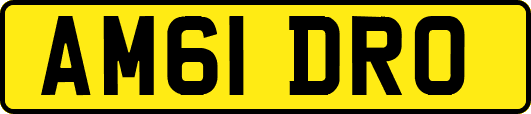 AM61DRO