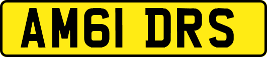 AM61DRS