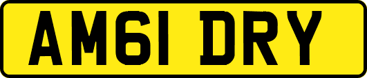 AM61DRY