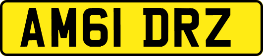 AM61DRZ