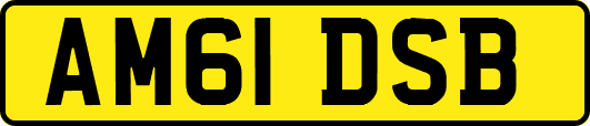 AM61DSB