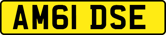 AM61DSE