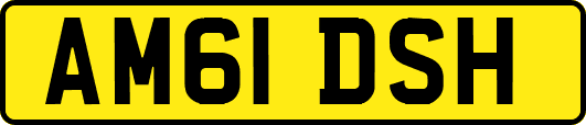 AM61DSH