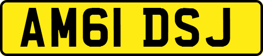 AM61DSJ